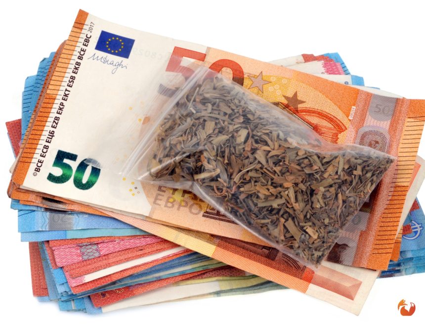 سرد أسرار: الحقائق الرئيسية حول ملف الاتجار الدولي في المخدرات بالمغرب