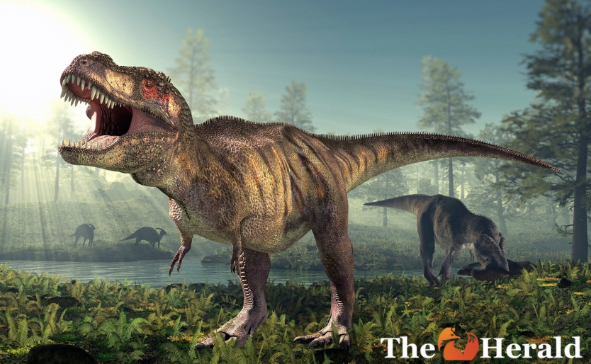 ديناصور ماسوسبونديلوس كاريناتوس