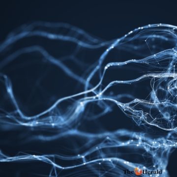 Neural network Opportunities for AI development via biocomputing