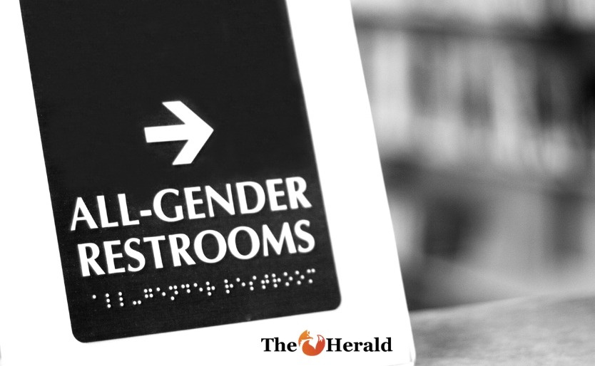 النسوية الجديدة