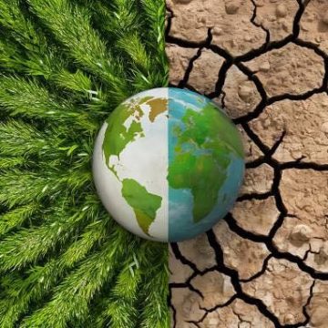 WHO: “Climate Change is a Health Crisis”: Europe Faces Alarming Health Impacts