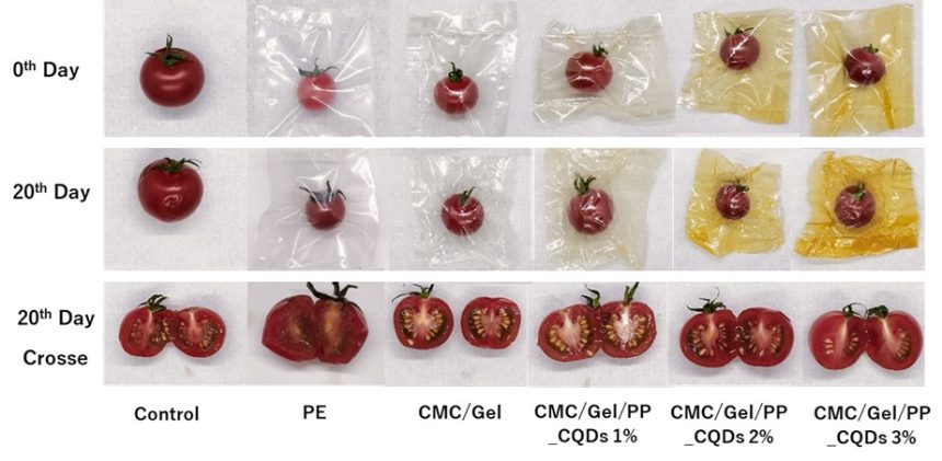 Fig.1 La pelure de citrouille : l’alternative écologique au plastique qui vient du Japon